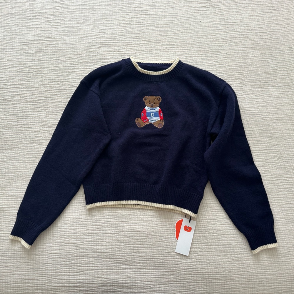 Bear sweater new with tags